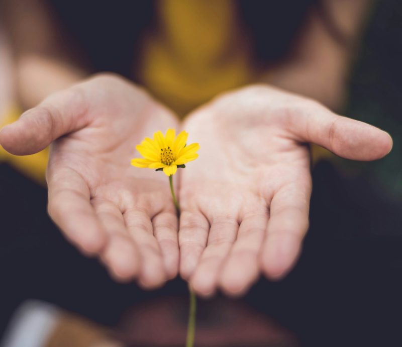 lina-trochez-ktPKyUs3Qjs-unsplash